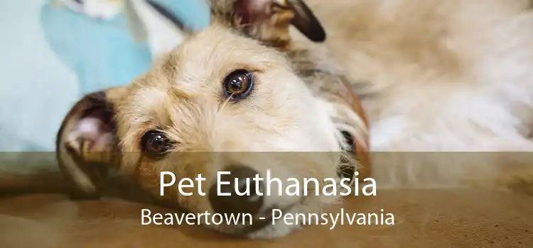 Pet Euthanasia Beavertown - Pennsylvania