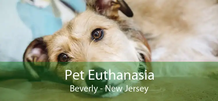 Pet Euthanasia Beverly - New Jersey