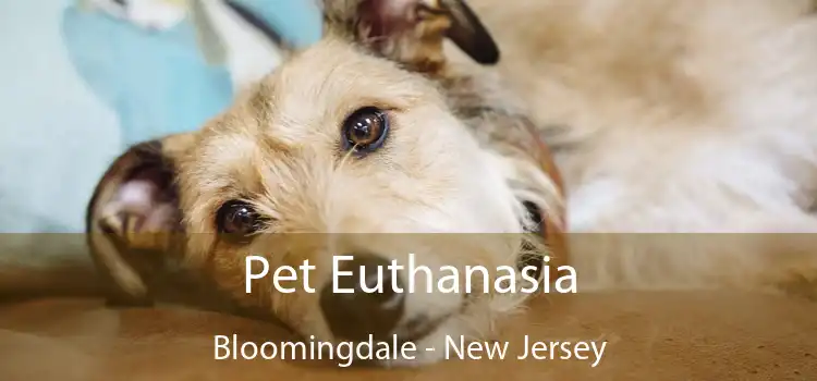 Pet Euthanasia Bloomingdale - New Jersey