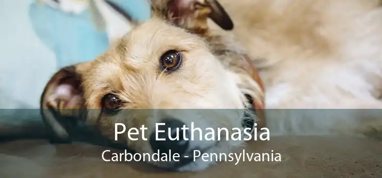 Pet Euthanasia Carbondale - Pennsylvania