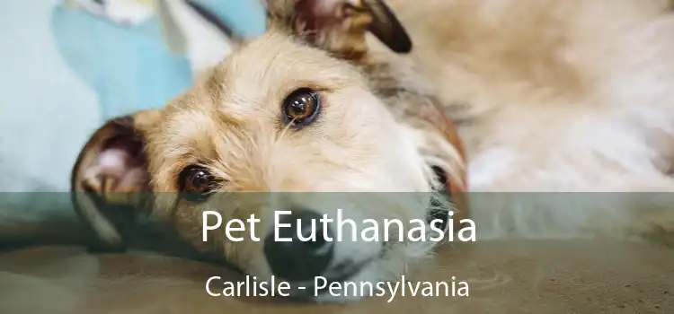 Pet Euthanasia Carlisle - Pennsylvania