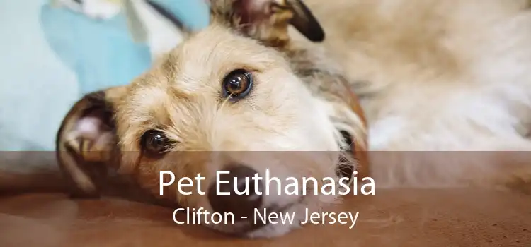 Pet Euthanasia Clifton - New Jersey