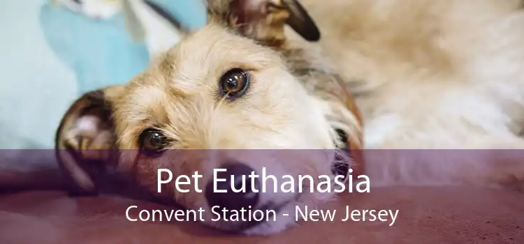 Pet Euthanasia Convent Station - New Jersey