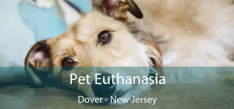 Pet Euthanasia Dover - New Jersey