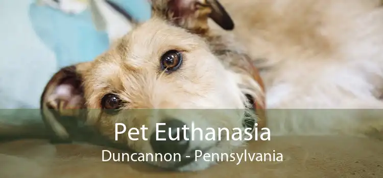 Pet Euthanasia Duncannon - Pennsylvania