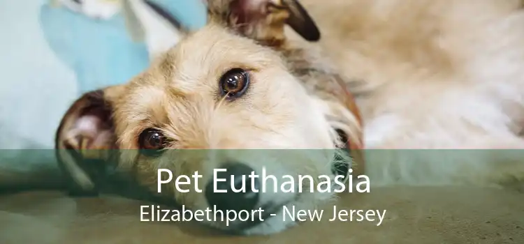 Pet Euthanasia Elizabethport - New Jersey
