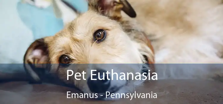 Pet Euthanasia Emanus - Pennsylvania