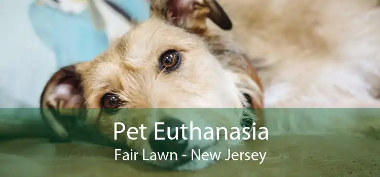 Pet Euthanasia Fair Lawn - New Jersey