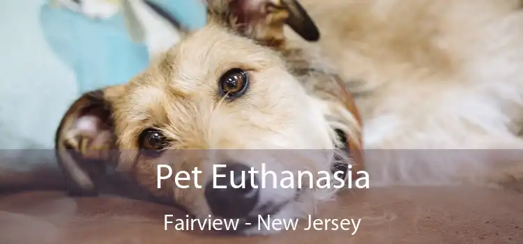 Pet Euthanasia Fairview - New Jersey