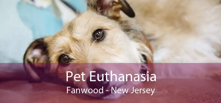 Pet Euthanasia Fanwood - New Jersey