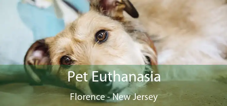 Pet Euthanasia Florence - New Jersey