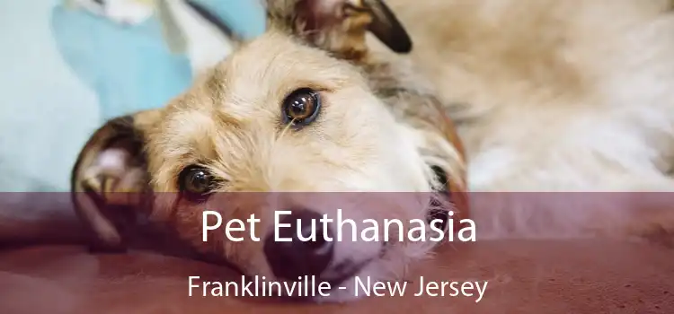 Pet Euthanasia Franklinville - New Jersey