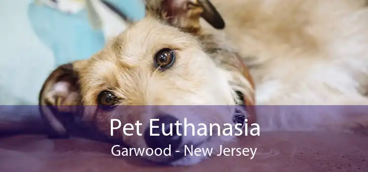 Pet Euthanasia Garwood - New Jersey