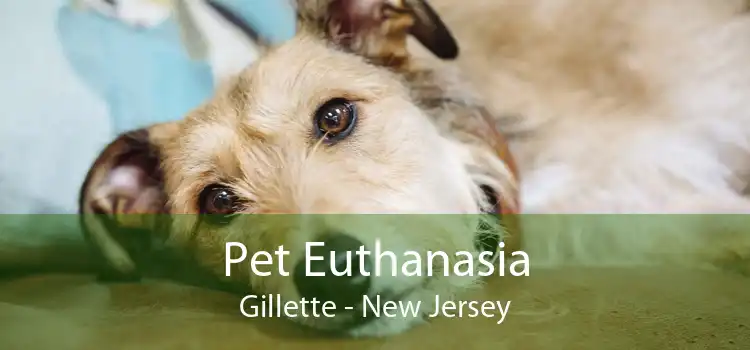 Pet Euthanasia Gillette - New Jersey
