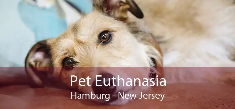 Pet Euthanasia Hamburg - New Jersey