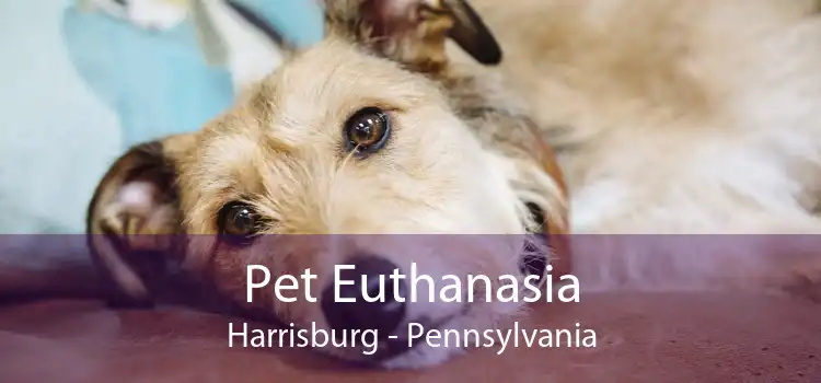 Pet Euthanasia Harrisburg - Pennsylvania