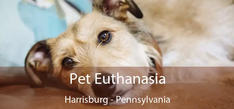 Pet Euthanasia Harrisburg - Pennsylvania