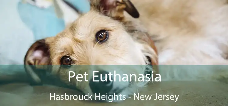 Pet Euthanasia Hasbrouck Heights - New Jersey