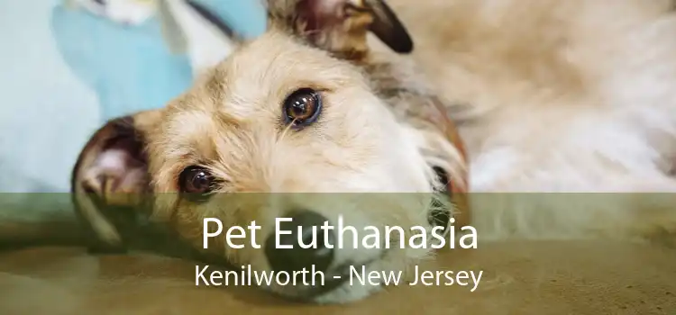 Pet Euthanasia Kenilworth - New Jersey