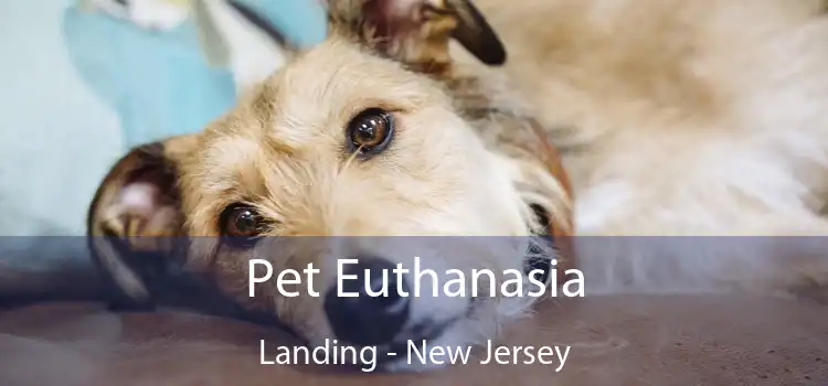 Pet Euthanasia Landing - New Jersey