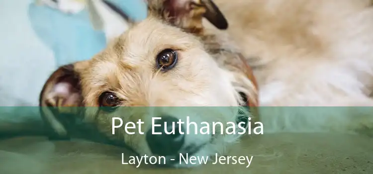 Pet Euthanasia Layton - New Jersey