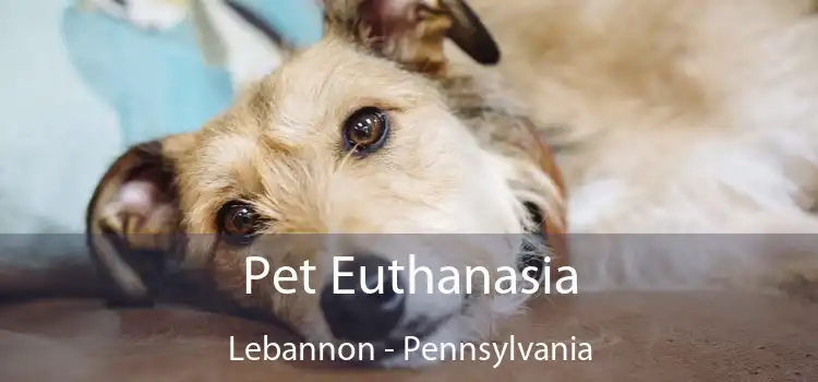 Pet Euthanasia Lebannon - Pennsylvania