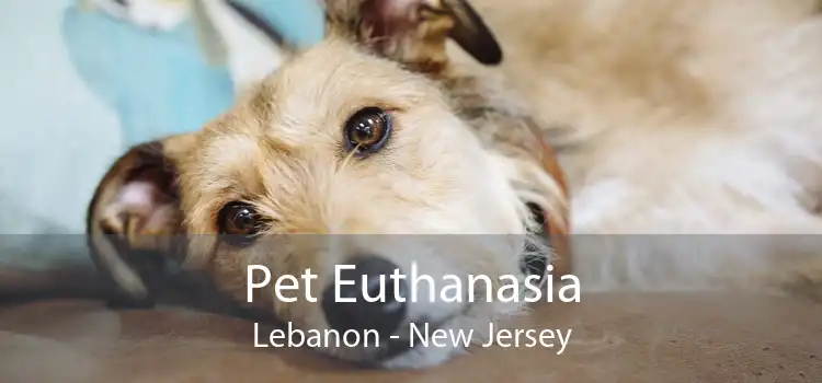 Pet Euthanasia Lebanon - New Jersey