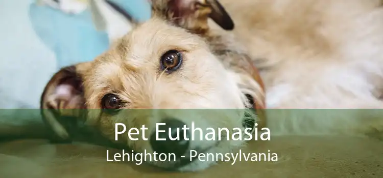 Pet Euthanasia Lehighton - Pennsylvania