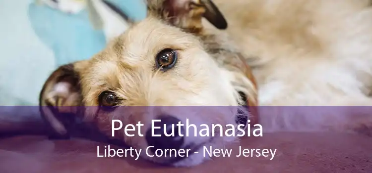 Pet Euthanasia Liberty Corner - New Jersey