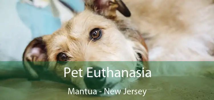 Pet Euthanasia Mantua - New Jersey