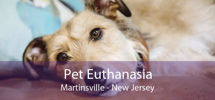 Pet Euthanasia Martinsville - New Jersey