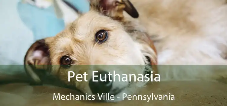 Pet Euthanasia Mechanics Ville - Pennsylvania