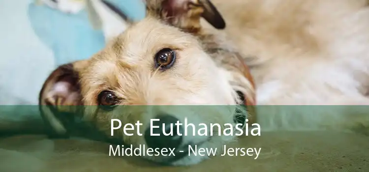 Pet Euthanasia Middlesex - New Jersey