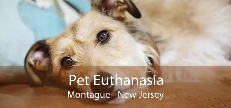 Pet Euthanasia Montague - New Jersey