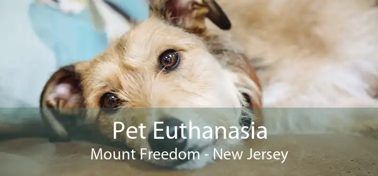 Pet Euthanasia Mount Freedom - New Jersey