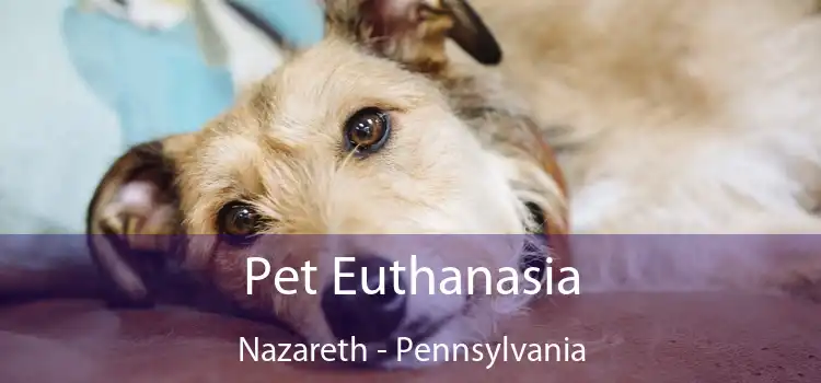 Pet Euthanasia Nazareth - Pennsylvania