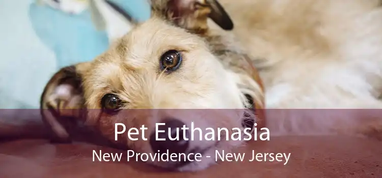 Pet Euthanasia New Providence - New Jersey