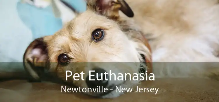 Pet Euthanasia Newtonville - New Jersey
