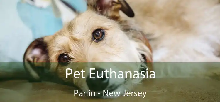 Pet Euthanasia Parlin - New Jersey
