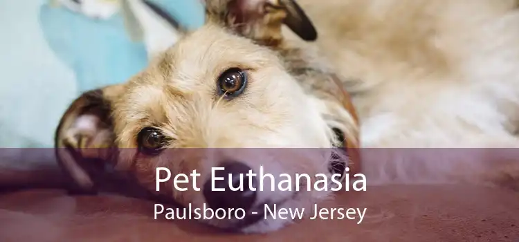 Pet Euthanasia Paulsboro - New Jersey