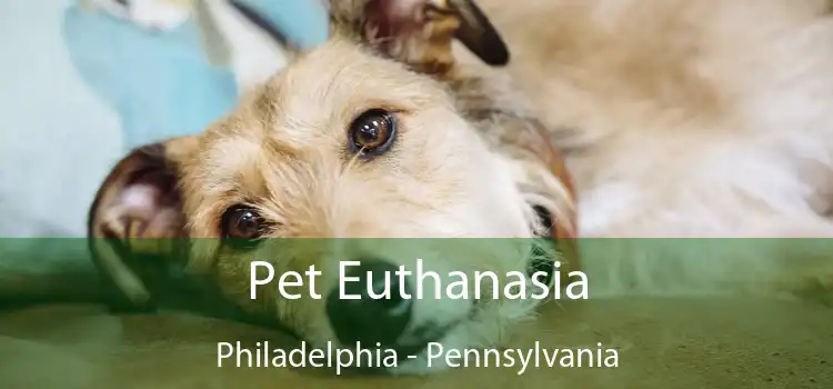 Pet Euthanasia Philadelphia - Pennsylvania