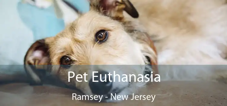 Pet Euthanasia Ramsey - New Jersey