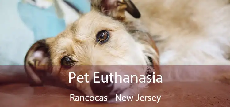 Pet Euthanasia Rancocas - New Jersey
