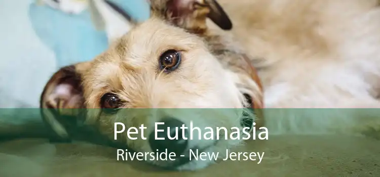 Pet Euthanasia Riverside - New Jersey