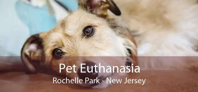 Pet Euthanasia Rochelle Park - New Jersey