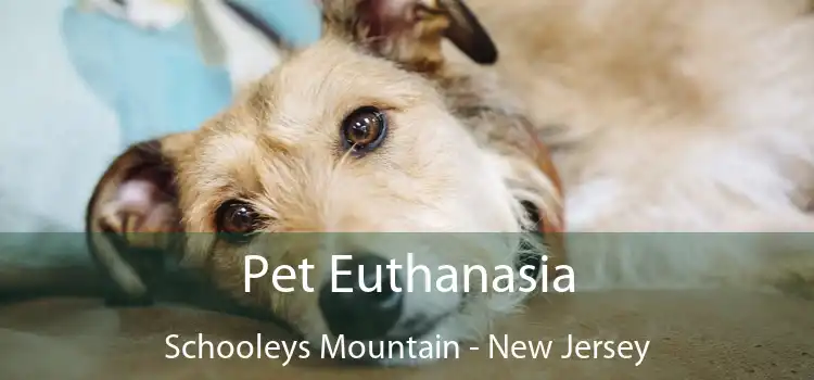 Pet Euthanasia Schooleys Mountain - New Jersey