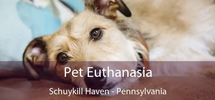 Pet Euthanasia Schuykill Haven - Pennsylvania