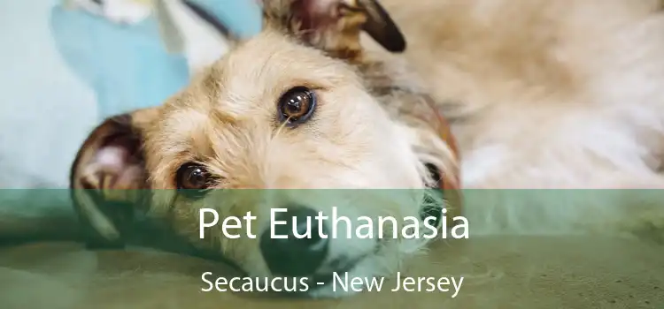 Pet Euthanasia Secaucus - New Jersey