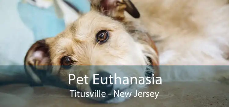 Pet Euthanasia Titusville - New Jersey