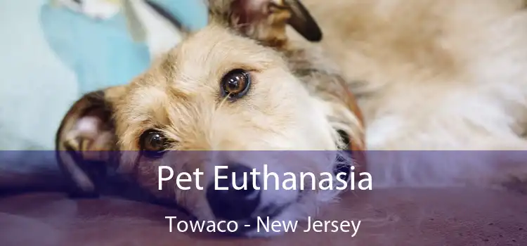 Pet Euthanasia Towaco - New Jersey